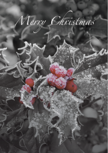 Cristmas card